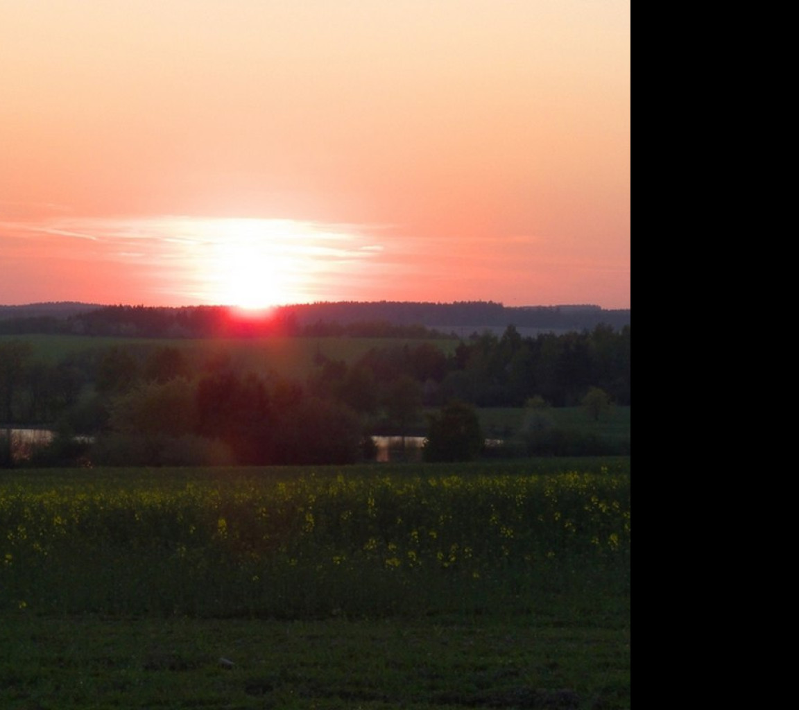 Tapeta niva_rybnik