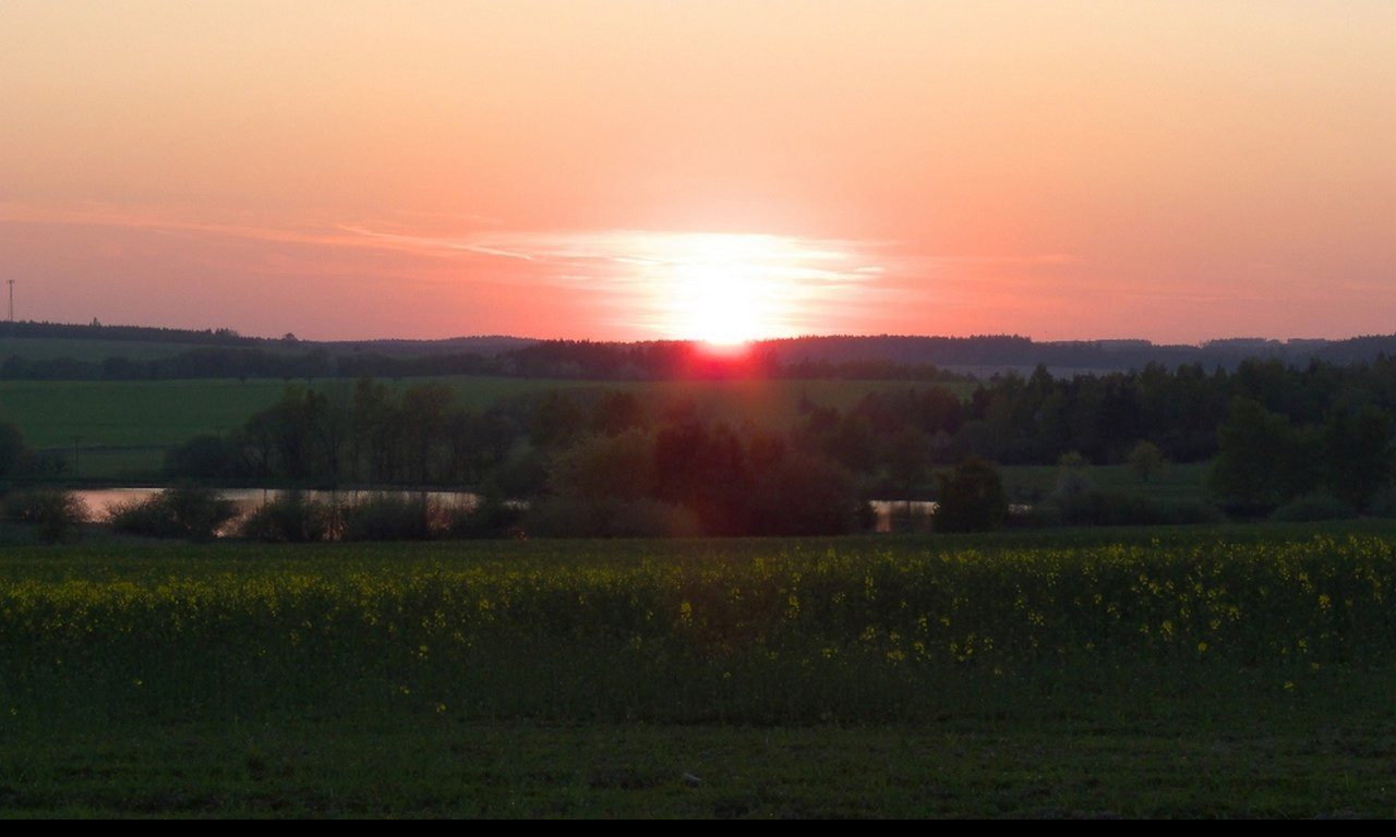 Tapeta niva_rybnik