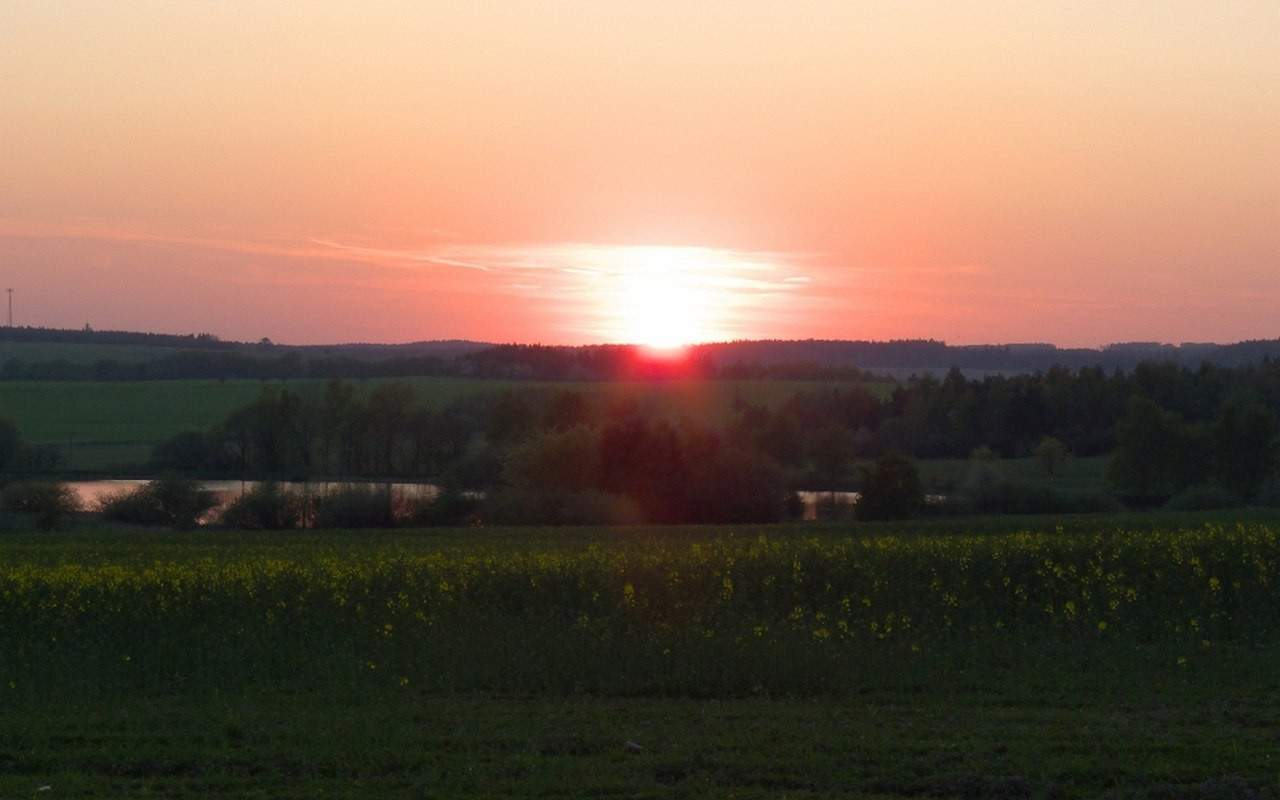 Tapeta niva_rybnik