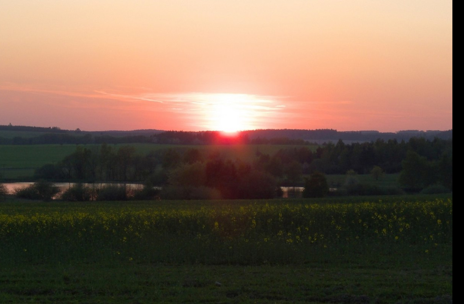 Tapeta niva_rybnik