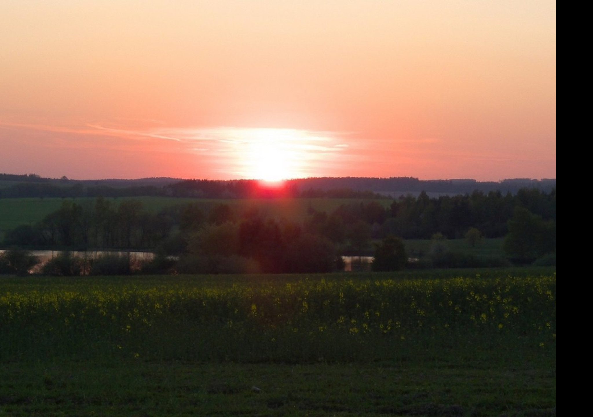 Tapeta niva_rybnik