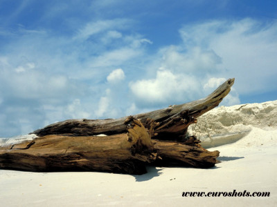 Tapeta: Northern Florida Beach