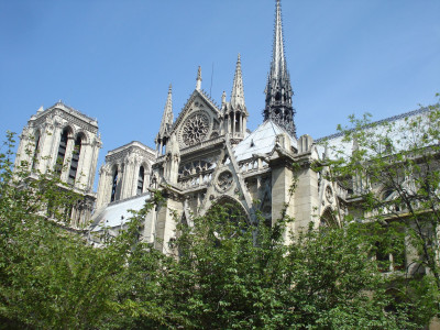 Tapeta: Notre dame