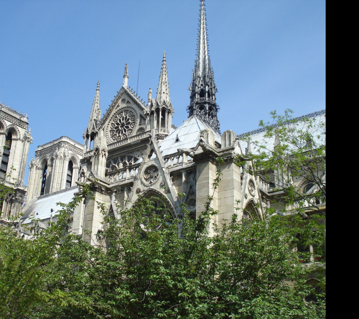 Tapeta notre_dame