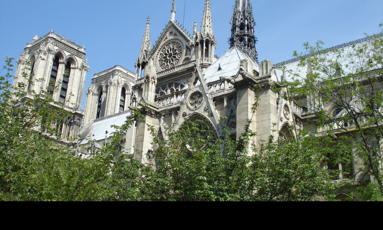 Tapeta notre_dame