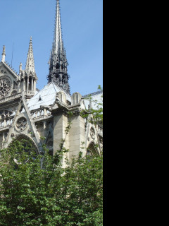 Tapeta notre_dame