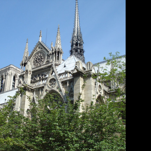 Tapeta notre_dame