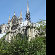 Tapeta notredame