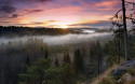 Tapeta NP Nuuksio, Finsko