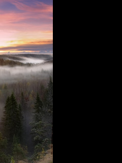 Tapeta np_nuuksio__finsko