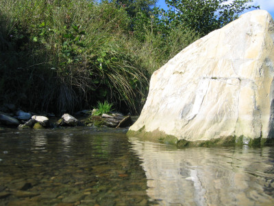 Tapeta: Oami vody