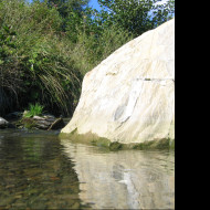 Tapeta ocami_vody_