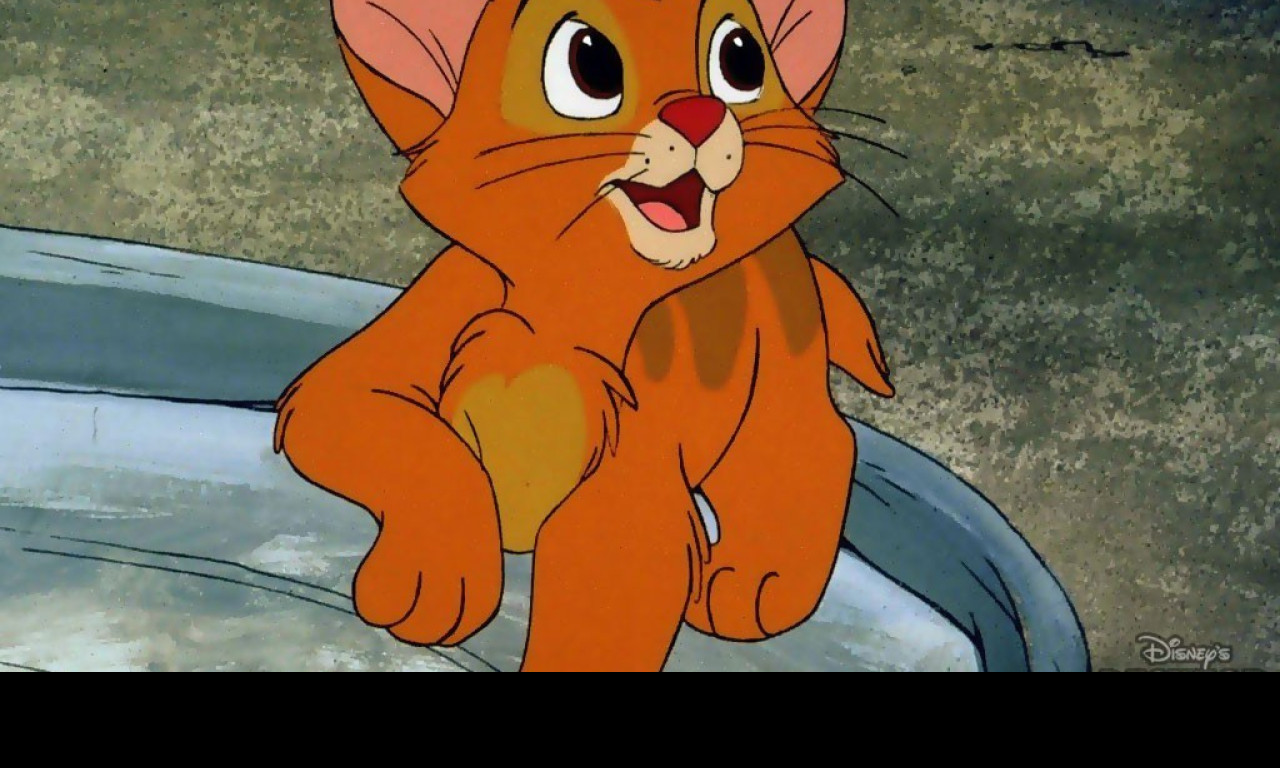 Tapeta oliveraspol5