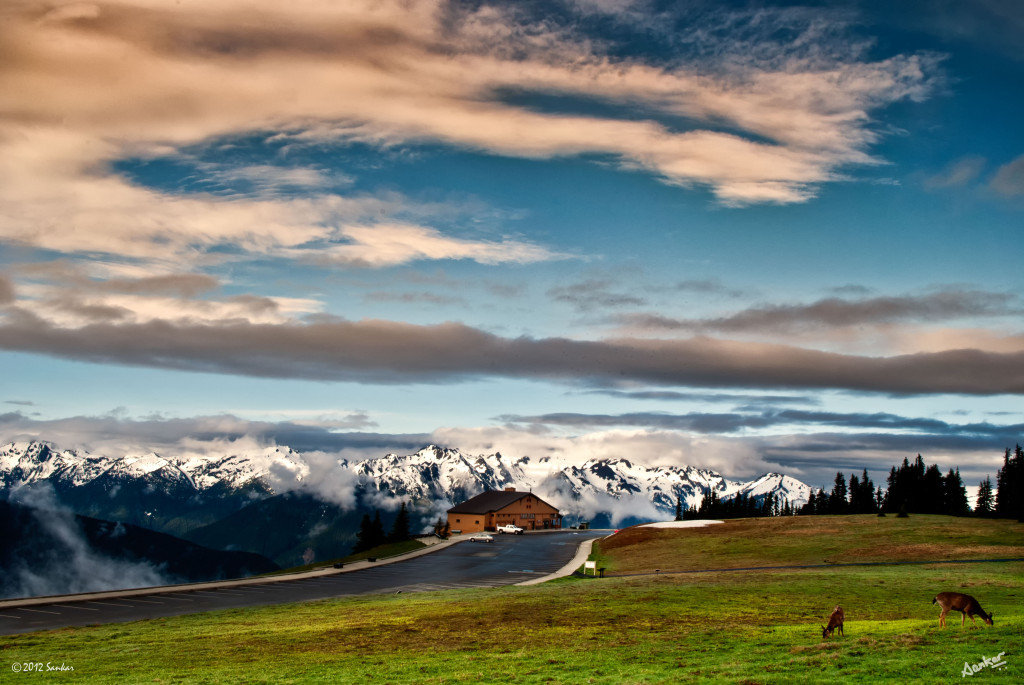 Tapeta olympic__hurricane_ridge