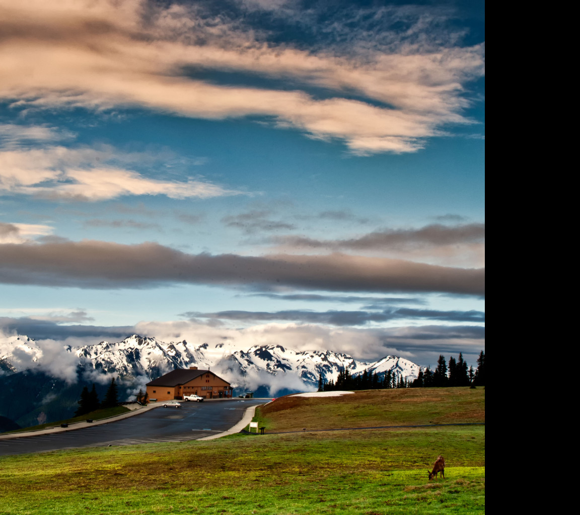 Tapeta olympic__hurricane_ridge