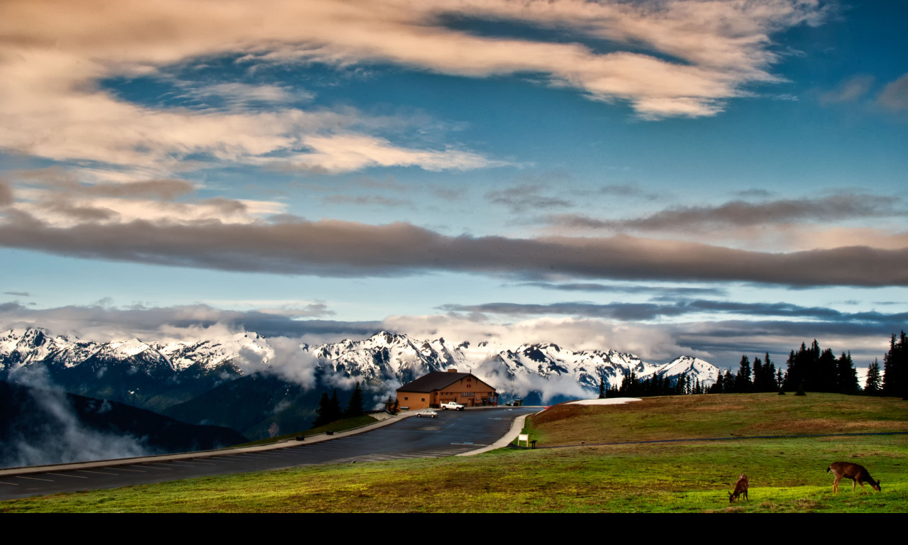 Tapeta olympic__hurricane_ridge