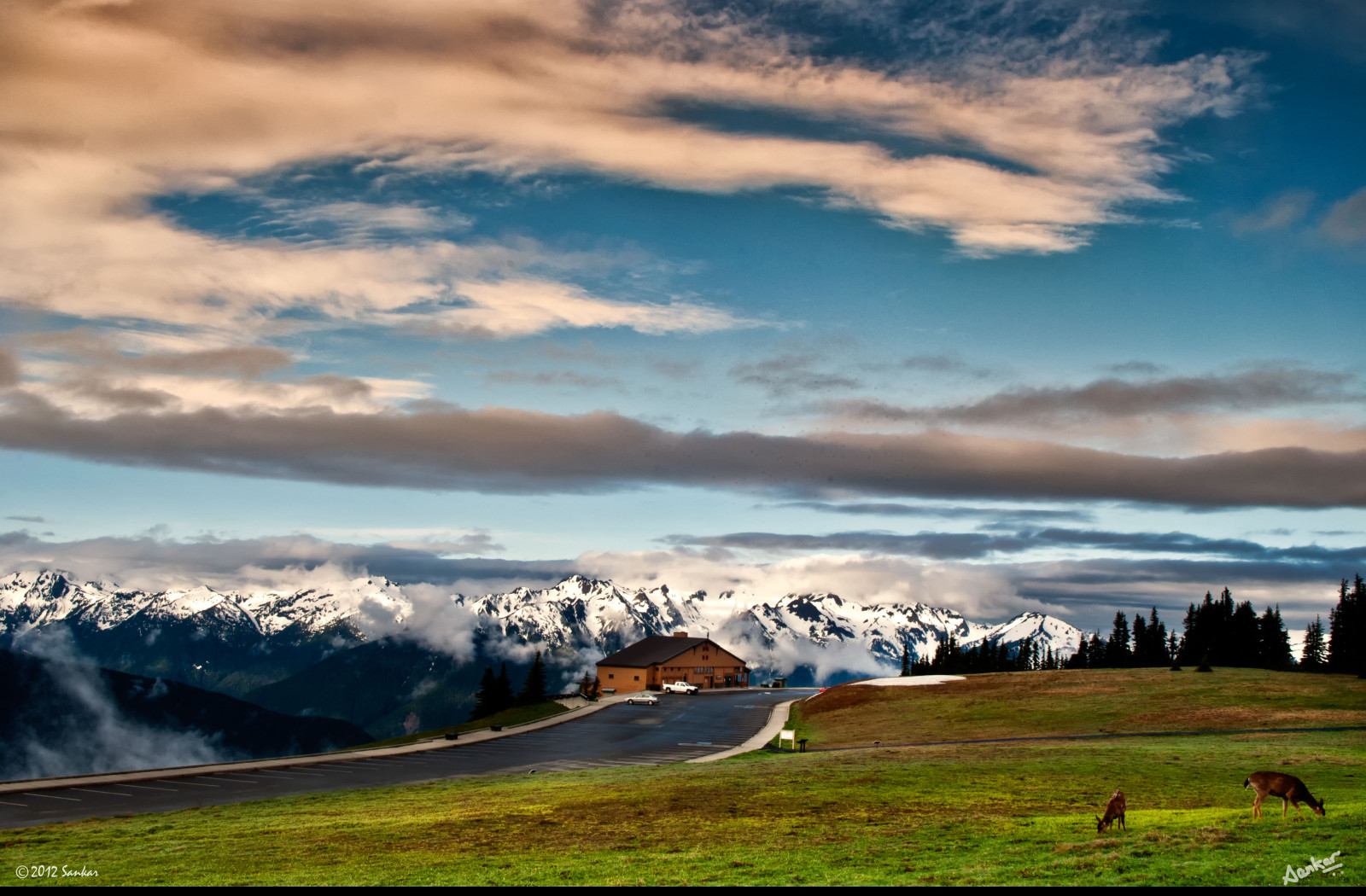 Tapeta olympic__hurricane_ridge