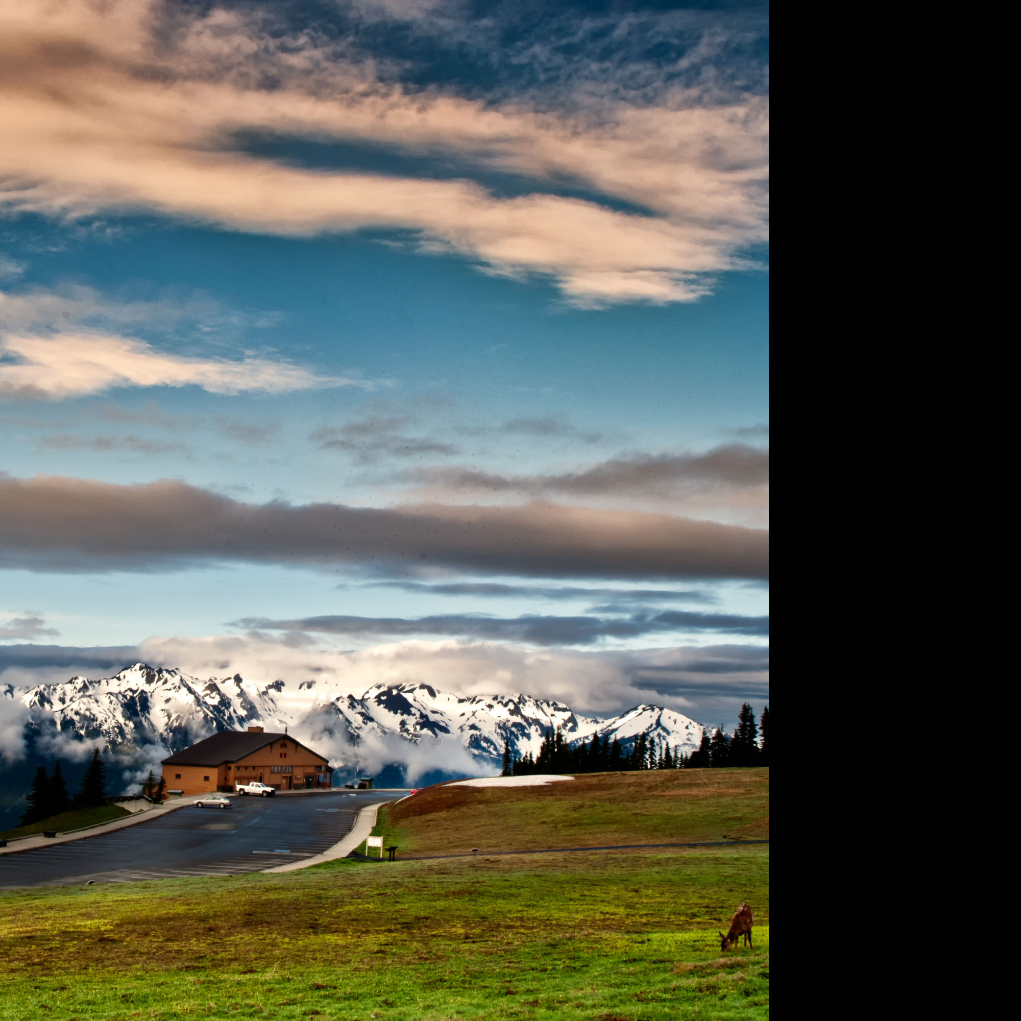 Tapeta olympic__hurricane_ridge