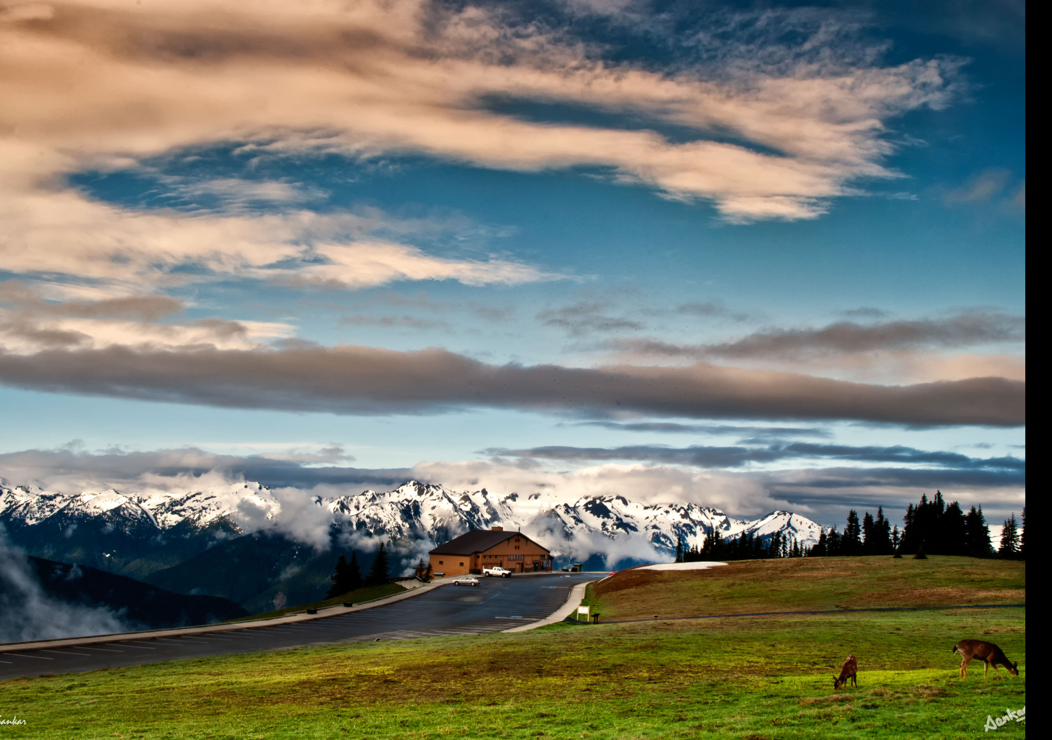 Tapeta olympic__hurricane_ridge