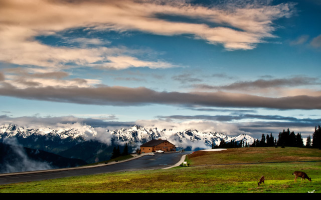 Tapeta olympic__hurricane_ridge