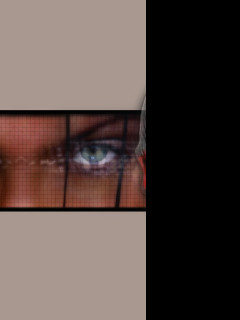 Tapeta peterproductions_1