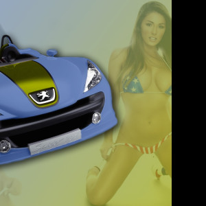 Tapeta peugeot_207