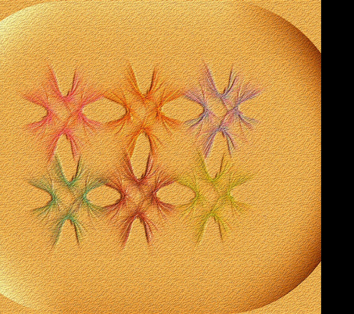 Tapeta pisecny_oval