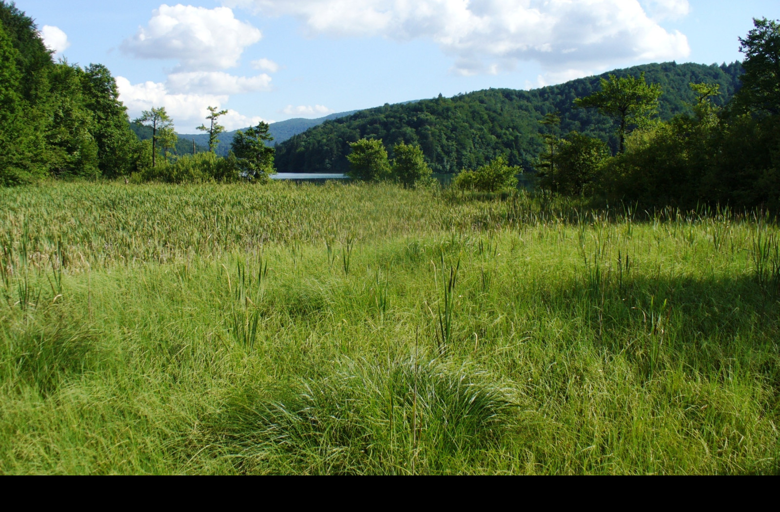 Tapeta plitvice_1