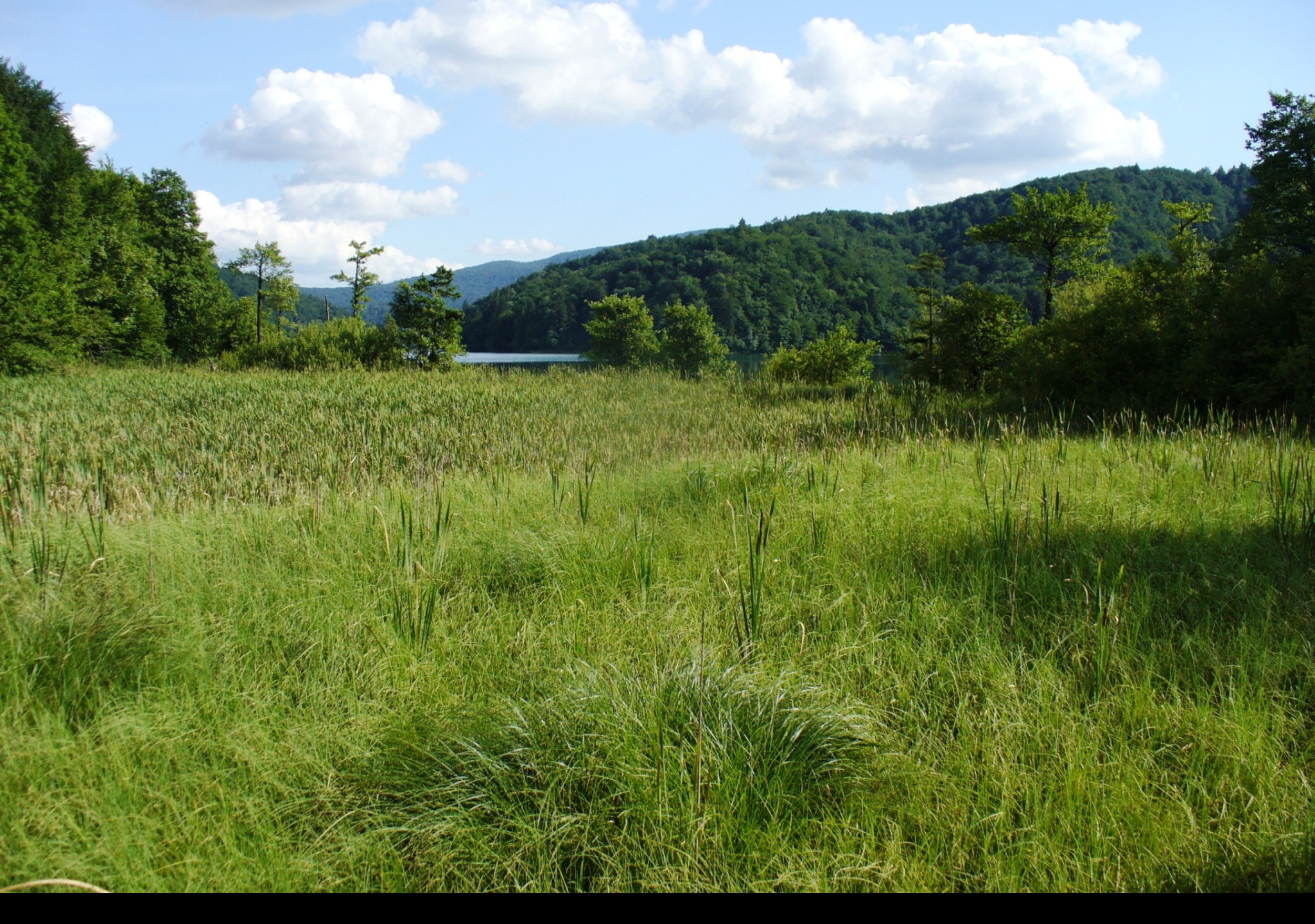 Tapeta plitvice_1