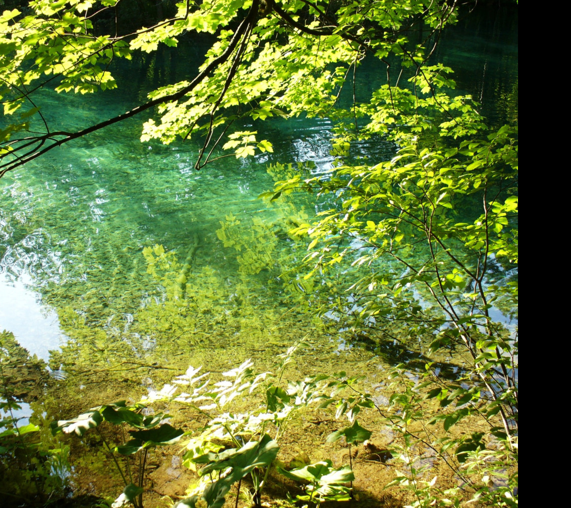 Tapeta plitvice_12