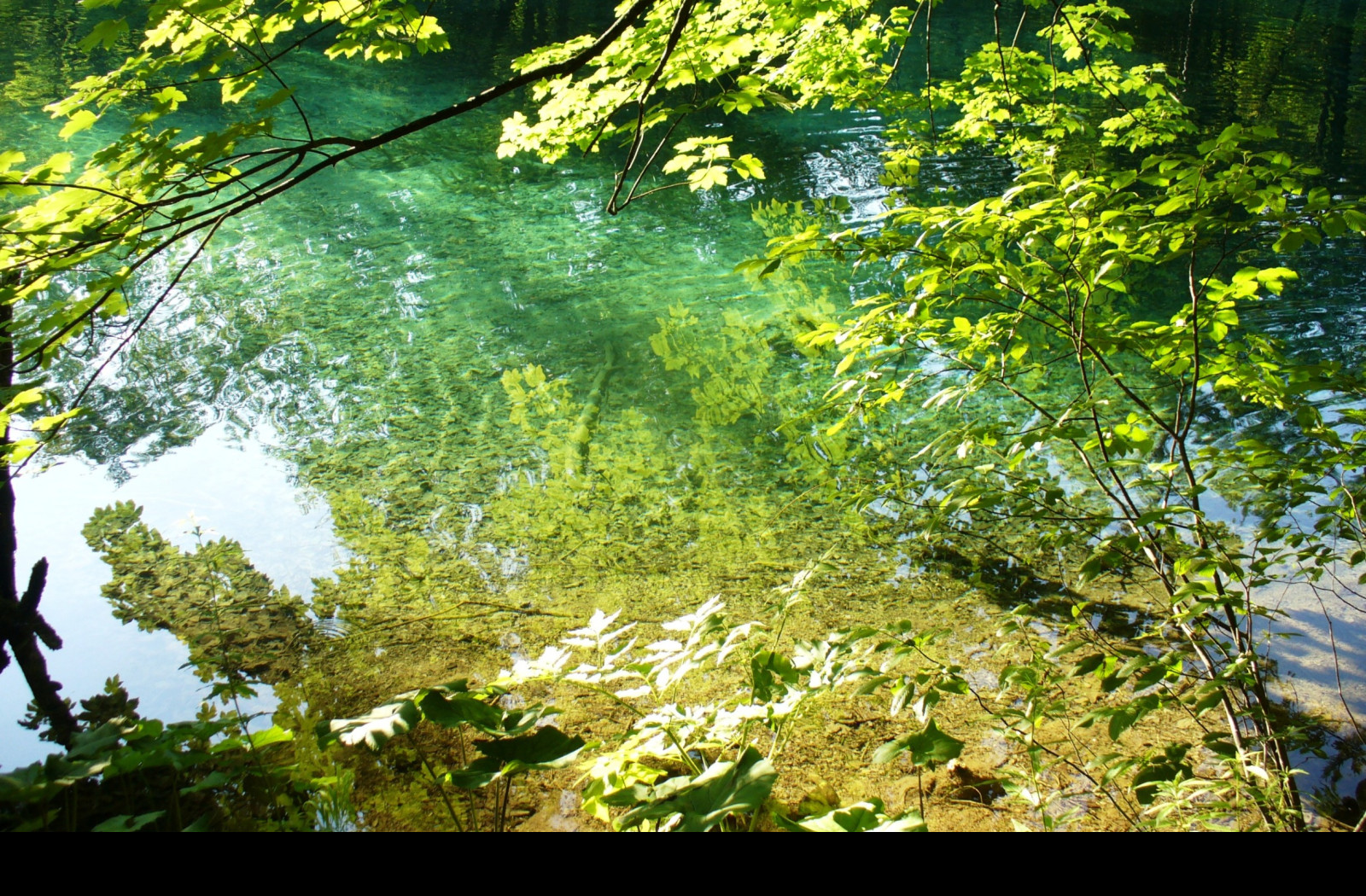 Tapeta plitvice_12