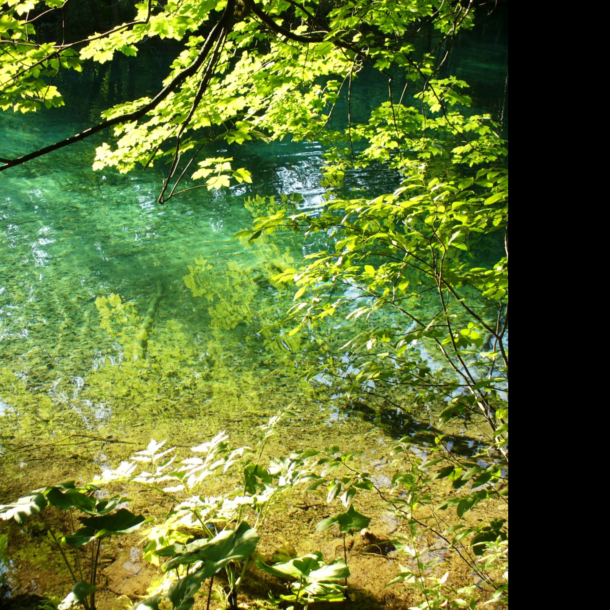 Tapeta plitvice_12