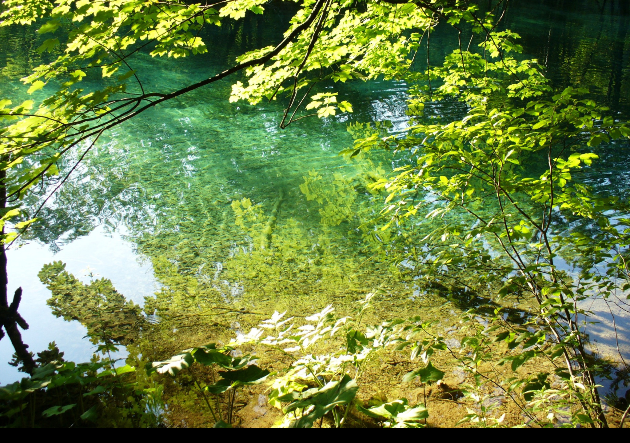 Tapeta plitvice_12