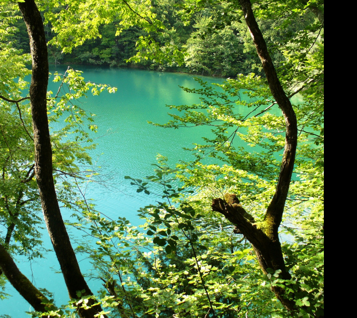 Tapeta plitvice_3