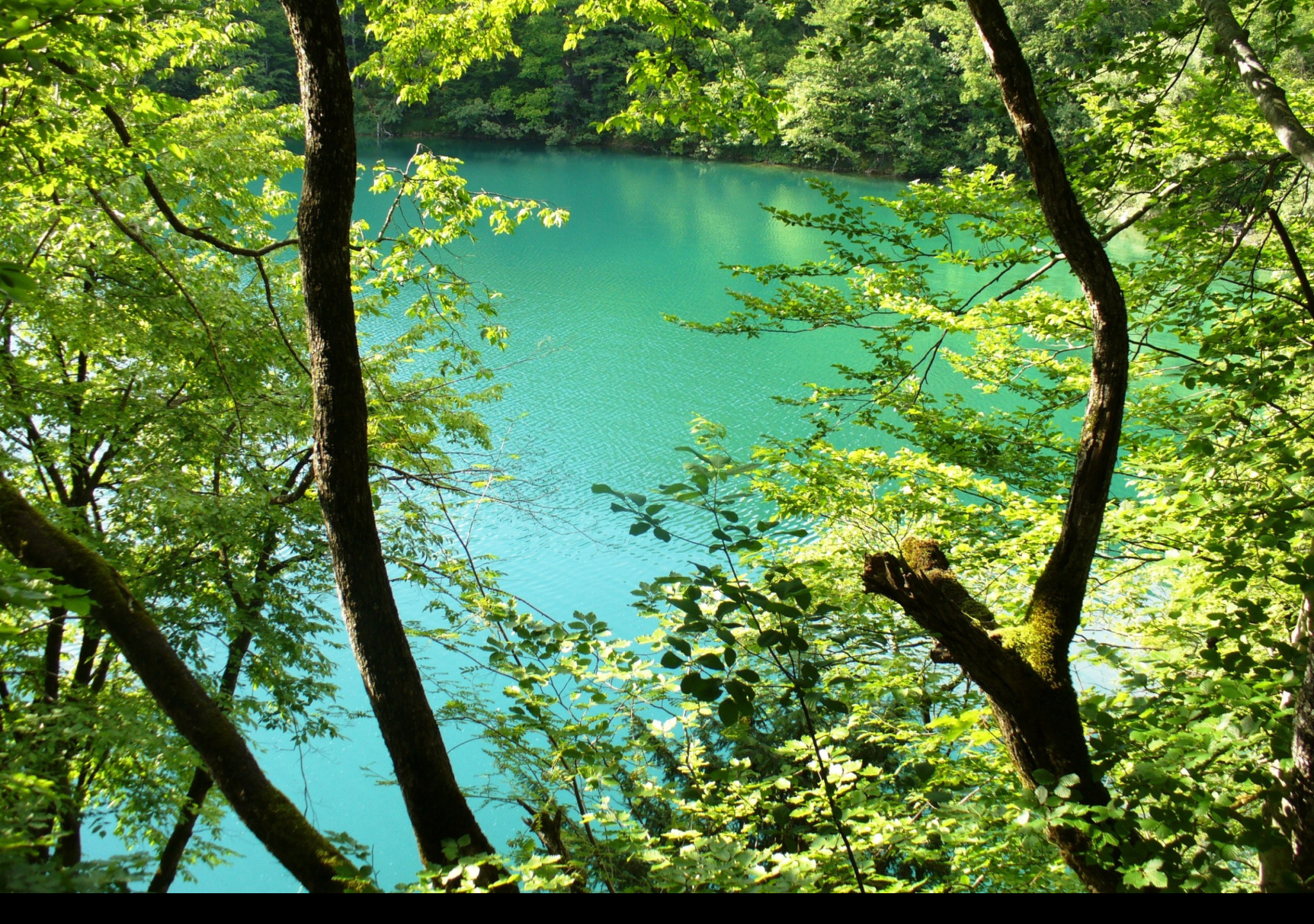 Tapeta plitvice_3