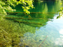 Tapeta Plitvice 5