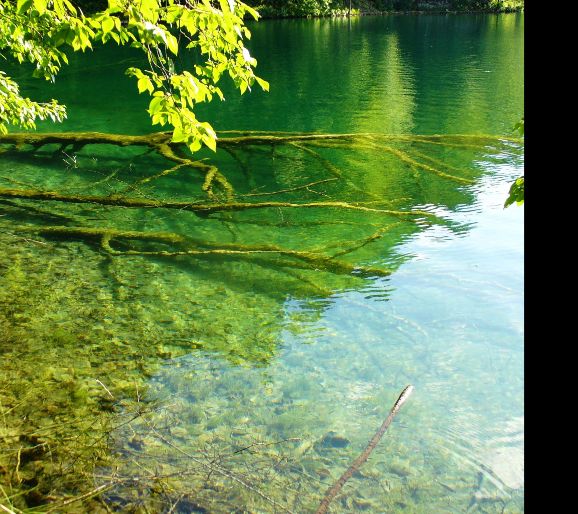 Tapeta plitvice_5