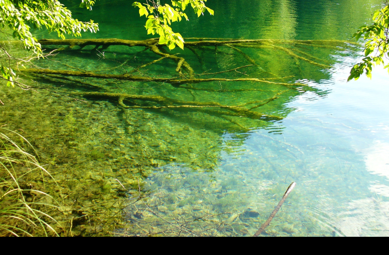 Tapeta plitvice_5