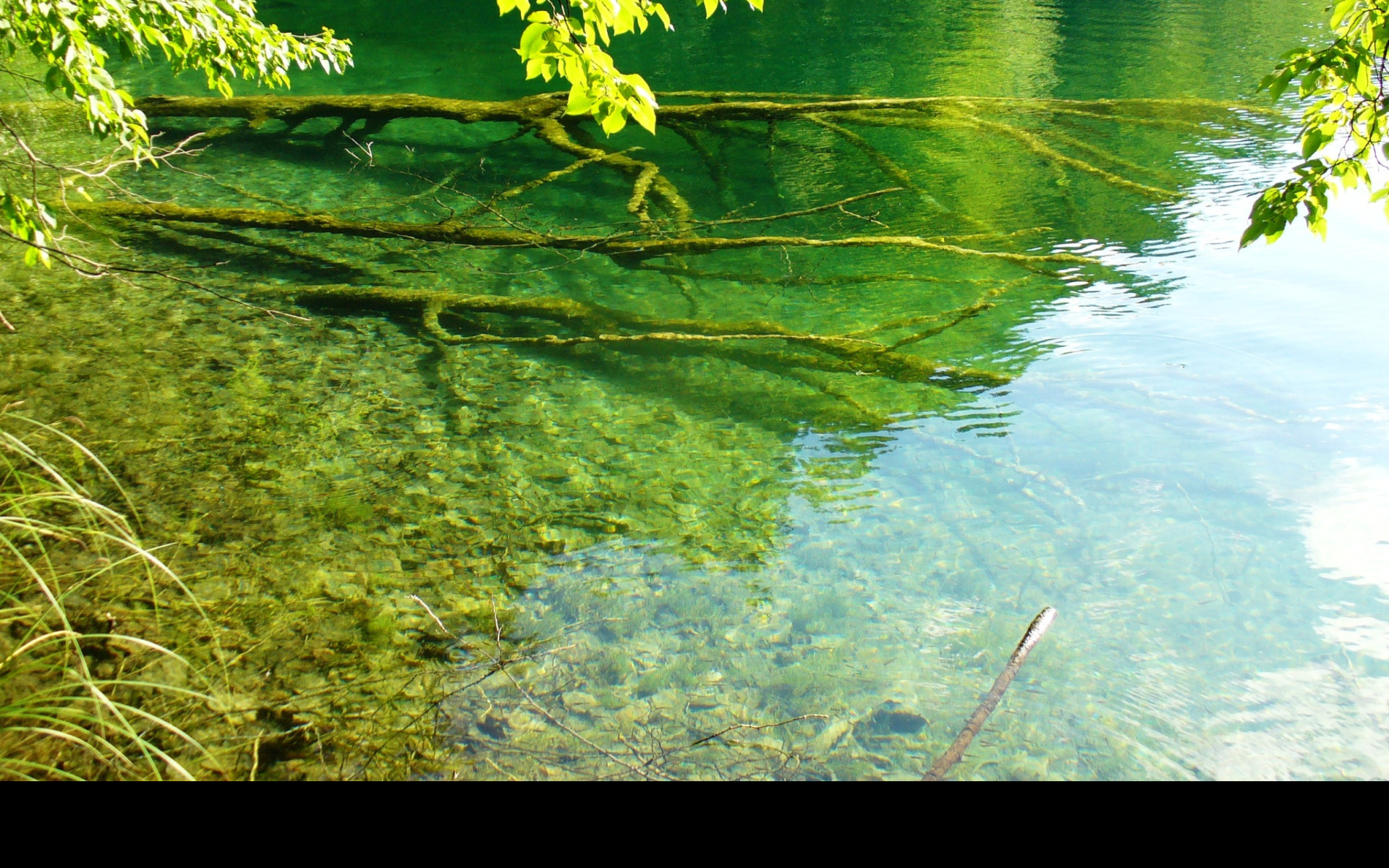 Tapeta plitvice_5