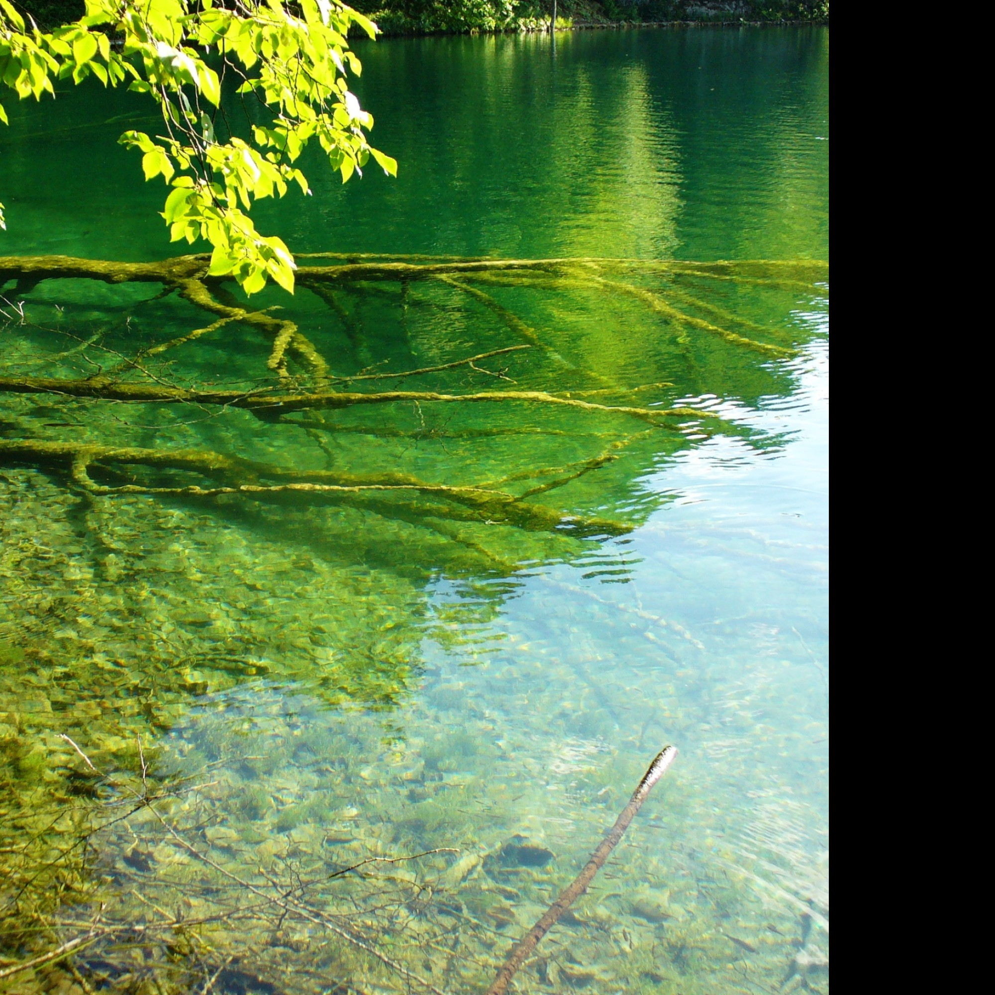 Tapeta plitvice_5