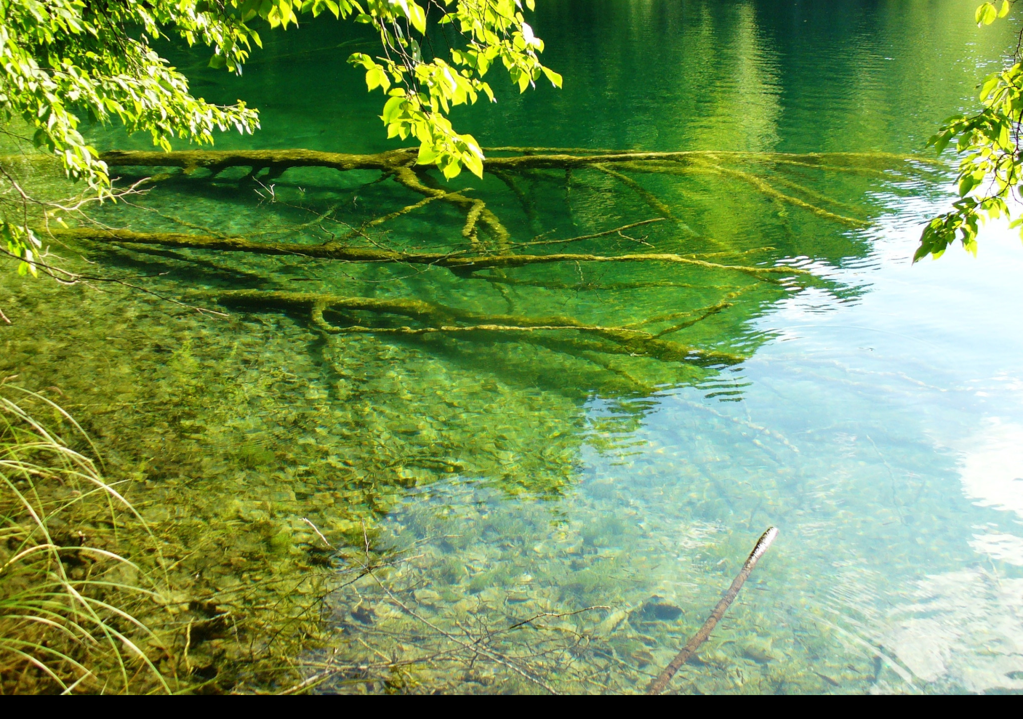 Tapeta plitvice_5