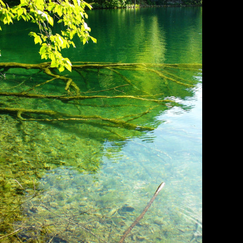 Tapeta plitvice_5