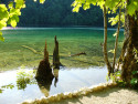 Tapeta Plitvice 7