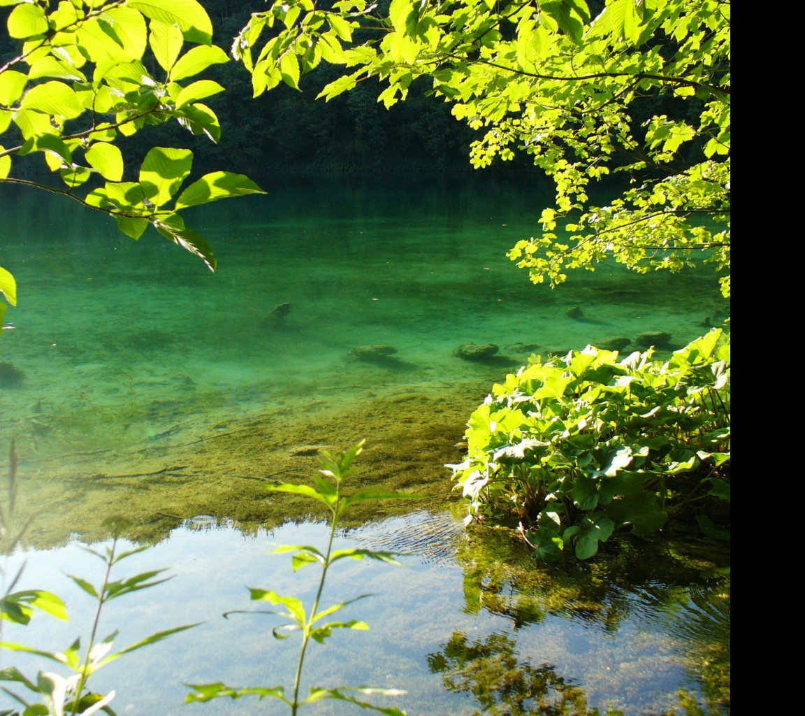 Tapeta plitvice_8