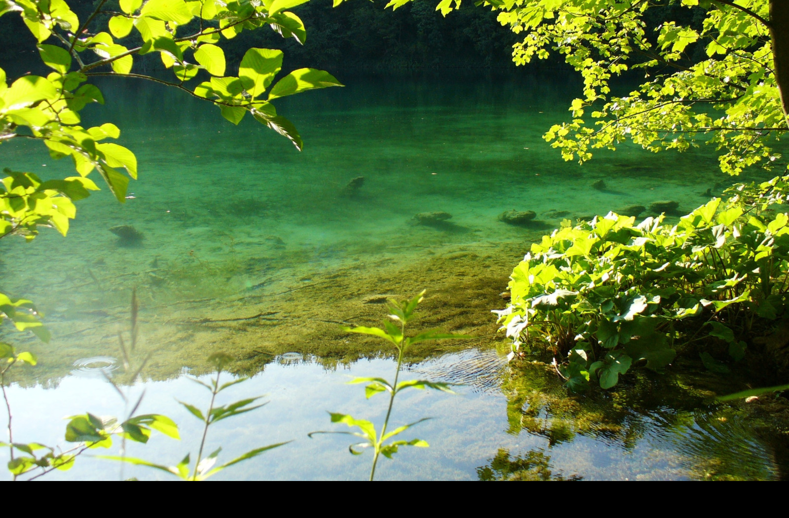 Tapeta plitvice_8