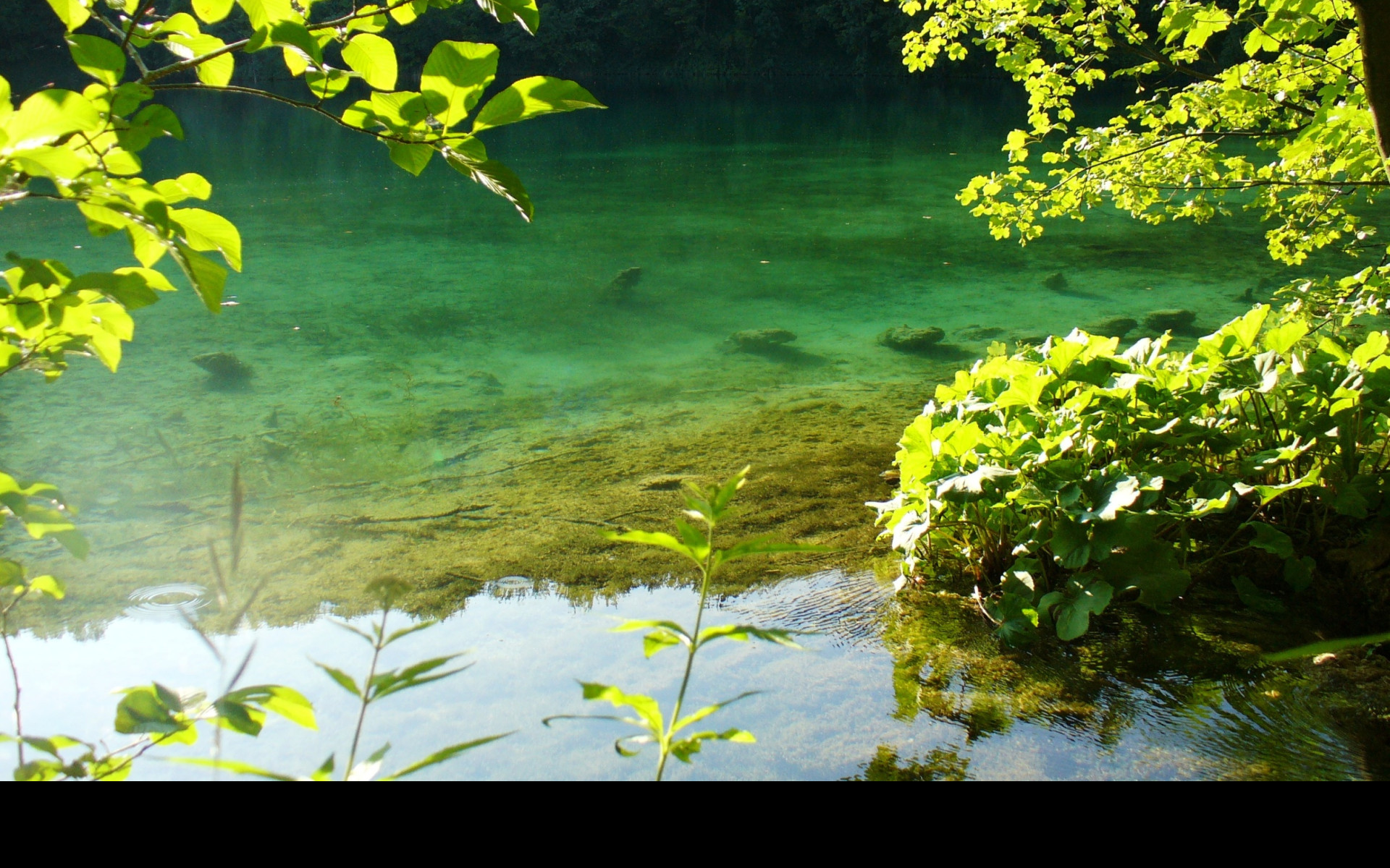 Tapeta plitvice_8