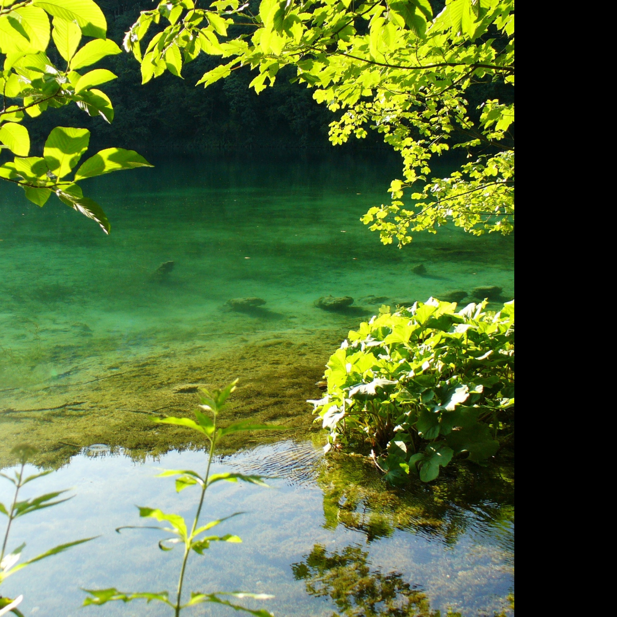 Tapeta plitvice_8