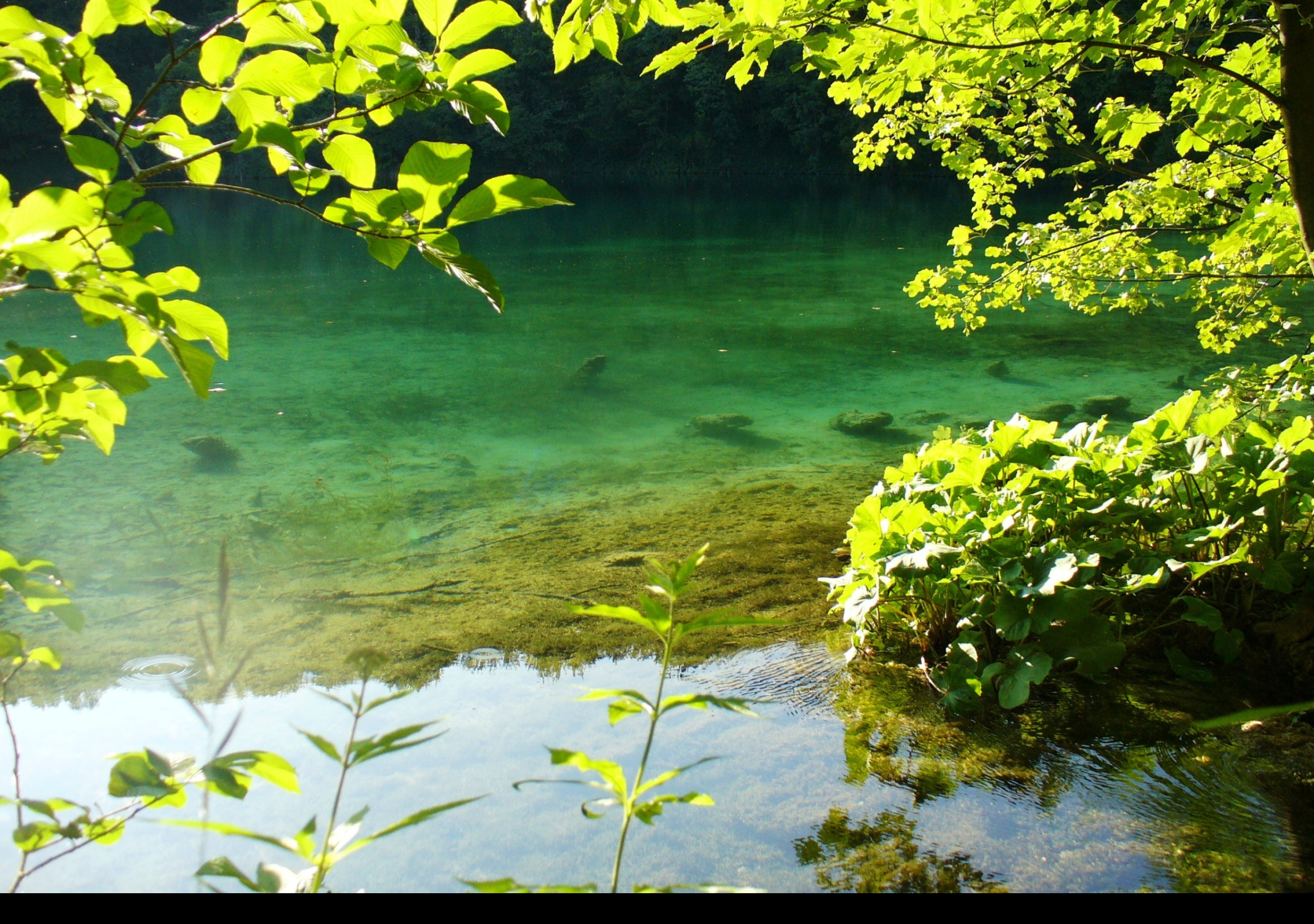 Tapeta plitvice_8