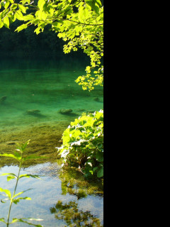 Tapeta plitvice_8