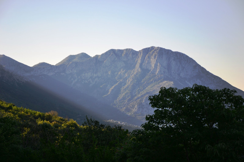 Tapeta podaca